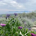 Konaki Holiday home *